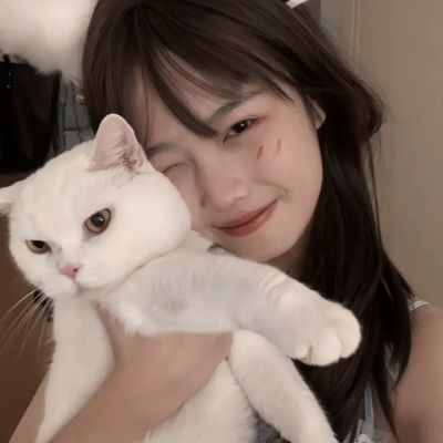 萌新出击