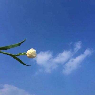 贵宾会娱乐APP/手机APP下载 贵宾会娱乐APP/手机APP下载