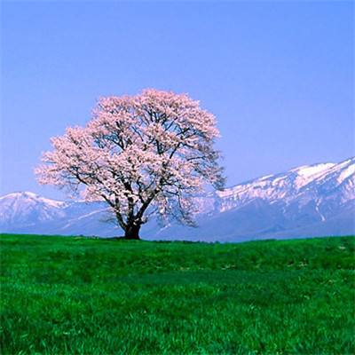 乐鱼体育官网注册地址