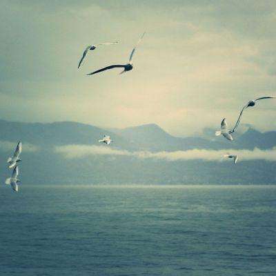 众彩贵宾会官方最新版下载