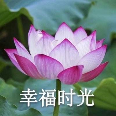 WWW,5555贵宾会平台/手机APP下载截图4