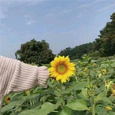 赔率看衰恒大取胜 澳媒仍恭维:亚洲巨人来了