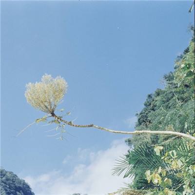 美国据悉在评估油价每桶200美元的极端情境 但白宫否认