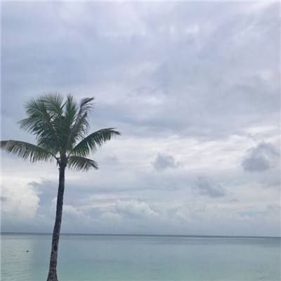 特朗普:伊朗希望达成和解 美国将促成此事
