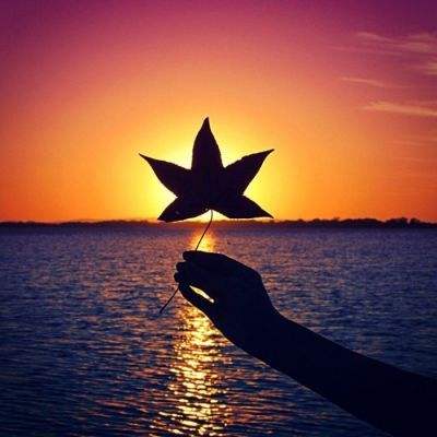 日本全职员工月均工资连续4年创历史新高