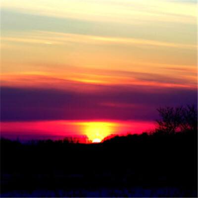 conga-TCRP1 兼具高性能、卓越扩...