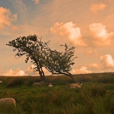 10名国民党立委组团访陆 拜会国台办主任刘结一