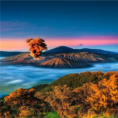 中远海控2025年营收、净利润双降,航运巨头的高股息还能撑多久?