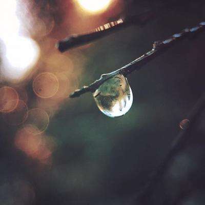 2026年苏州贝特智能仪表五大产品...