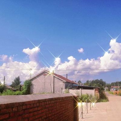 特朗普发文前已泄密?预测市场异常押注直指美伊下周前停火!