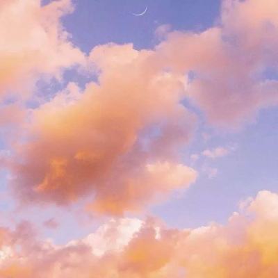 金年会体育娱乐APP/手机APP下载