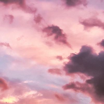 星空体育app