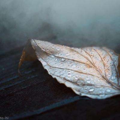 已整改事故隐患12.3万余处