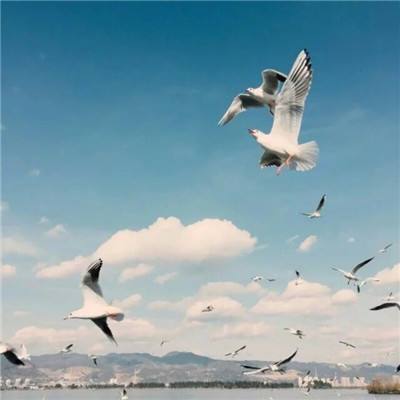 天价外援爆发！5000万欧标王处子球 拉米打爆全北