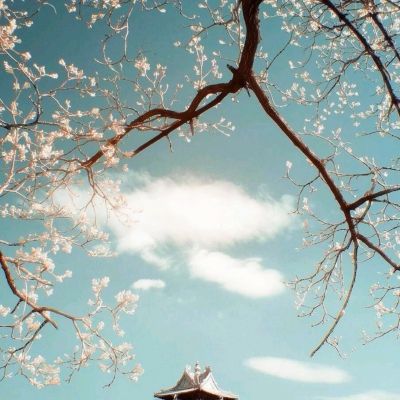 中国阿姨带外国人高喊I love China