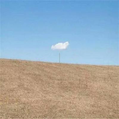 亿酷娱乐棋牌app下载手机版