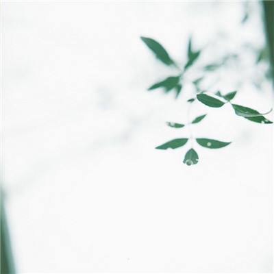 BCK体育电竞官网/手机APP下载