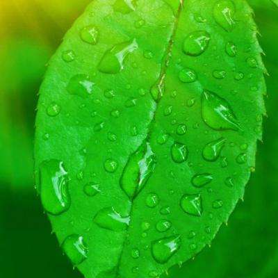 五角大楼计划临时调拨逾10亿美元用于增购导弹拦截弹