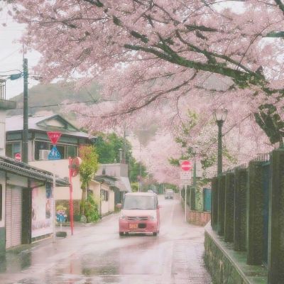 股海导航_2026年3月26日_沪深股市公告与交易提示