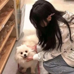 第一体育app下载官网